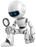 Lumpsum Robo